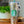 Load image into Gallery viewer, Tumbler Sale
