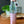 Load image into Gallery viewer, Tumbler Sale

