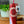 Load image into Gallery viewer, Tumbler Sale
