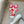Load image into Gallery viewer, Sweatshirt Sale

